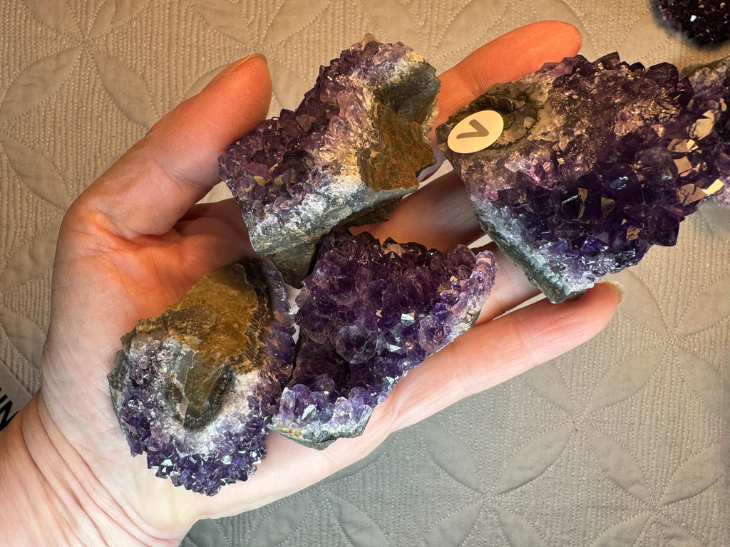 Four amethyst crystals on a hand 
