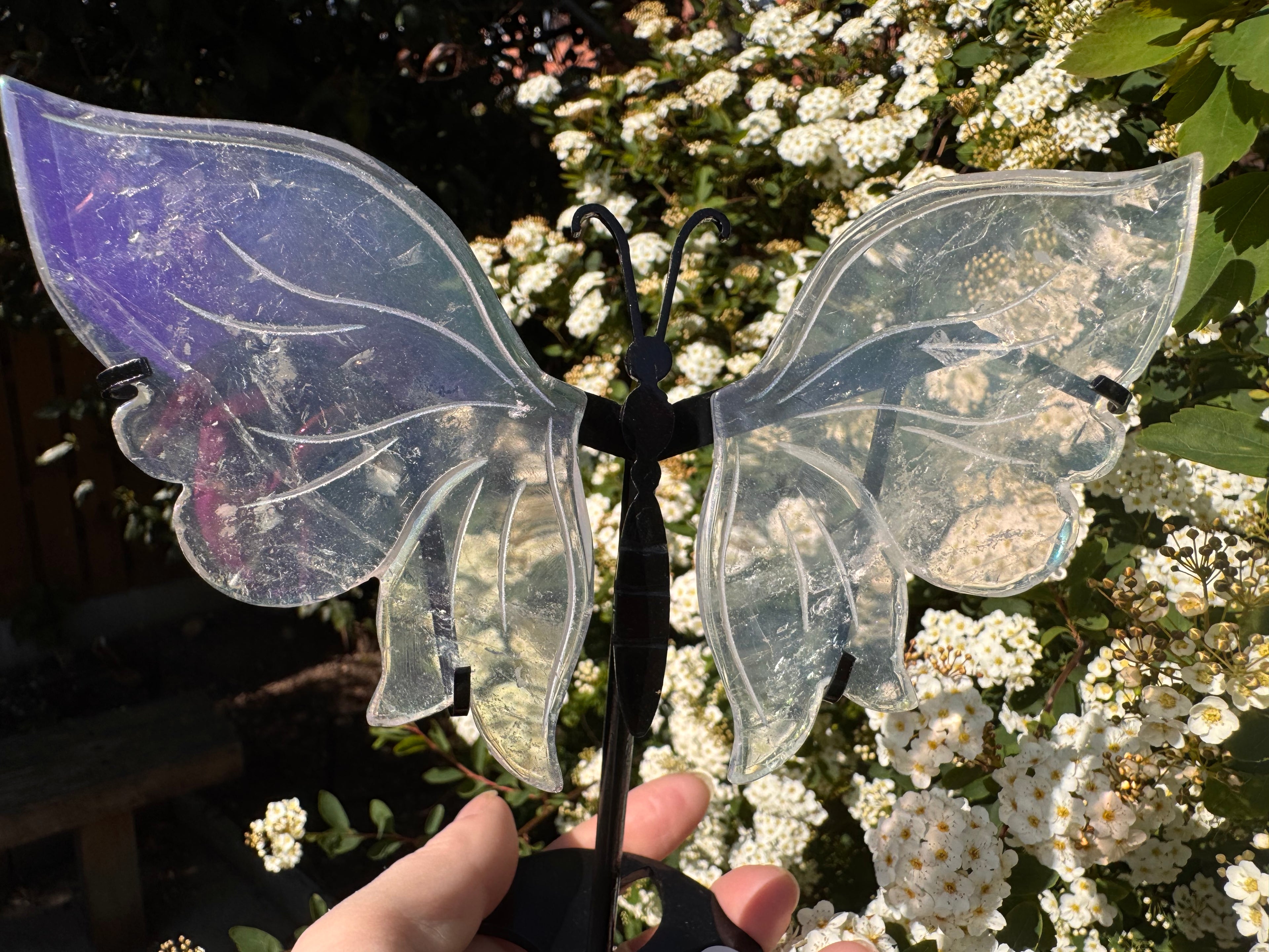 Aura Quartz Butterfly Wings - Druzy Crystal  - Radiant Crystals UK