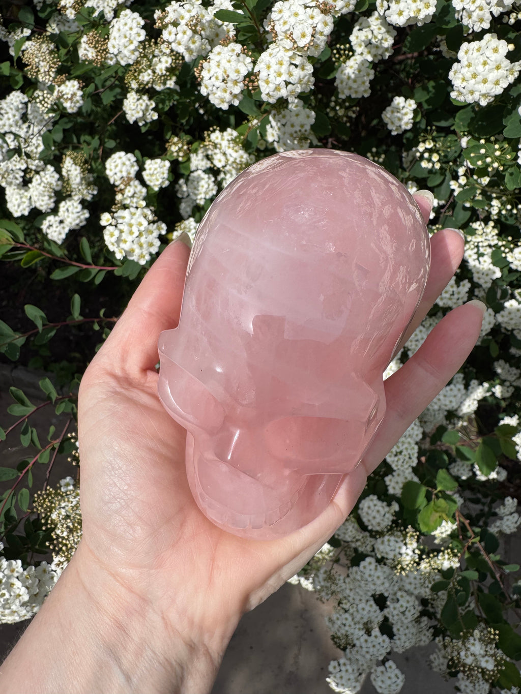 Large Rose Quartz crystal, hand carved skull 993gms.