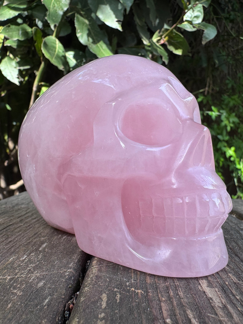 Large Rose Quartz crystal, hand carved skull 993gms.