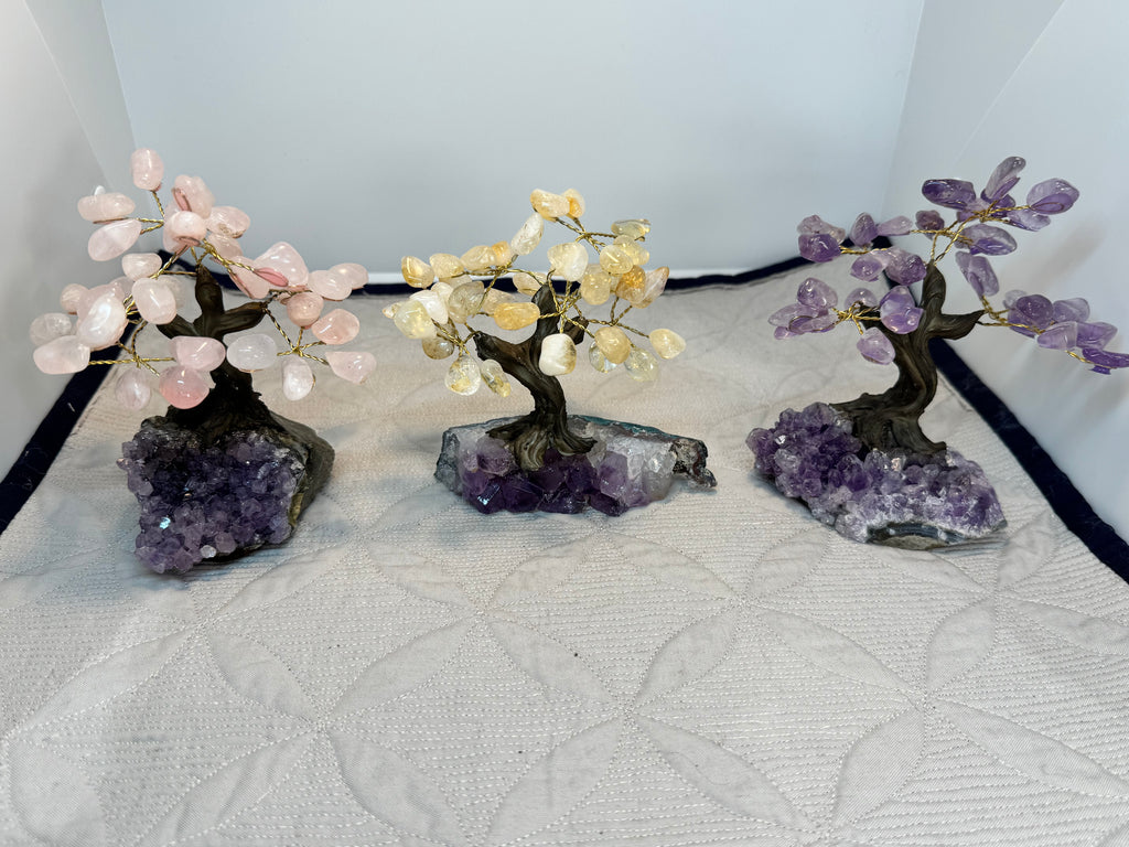 Three crystal trees on amethyst bases against a white background
