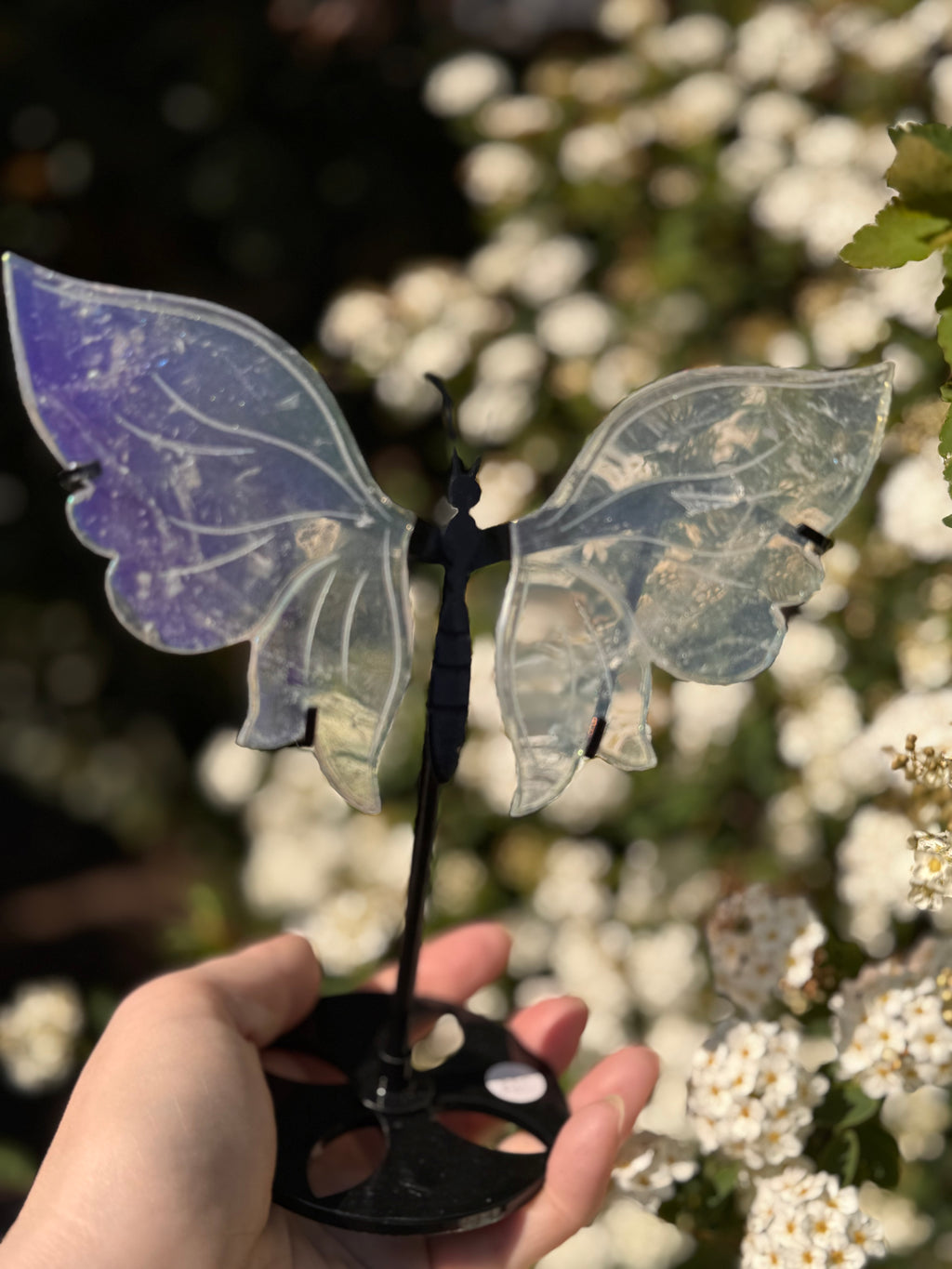 Aura Quartz Butterfly Wings - Druzy Crystal  - Radiant Crystals UK