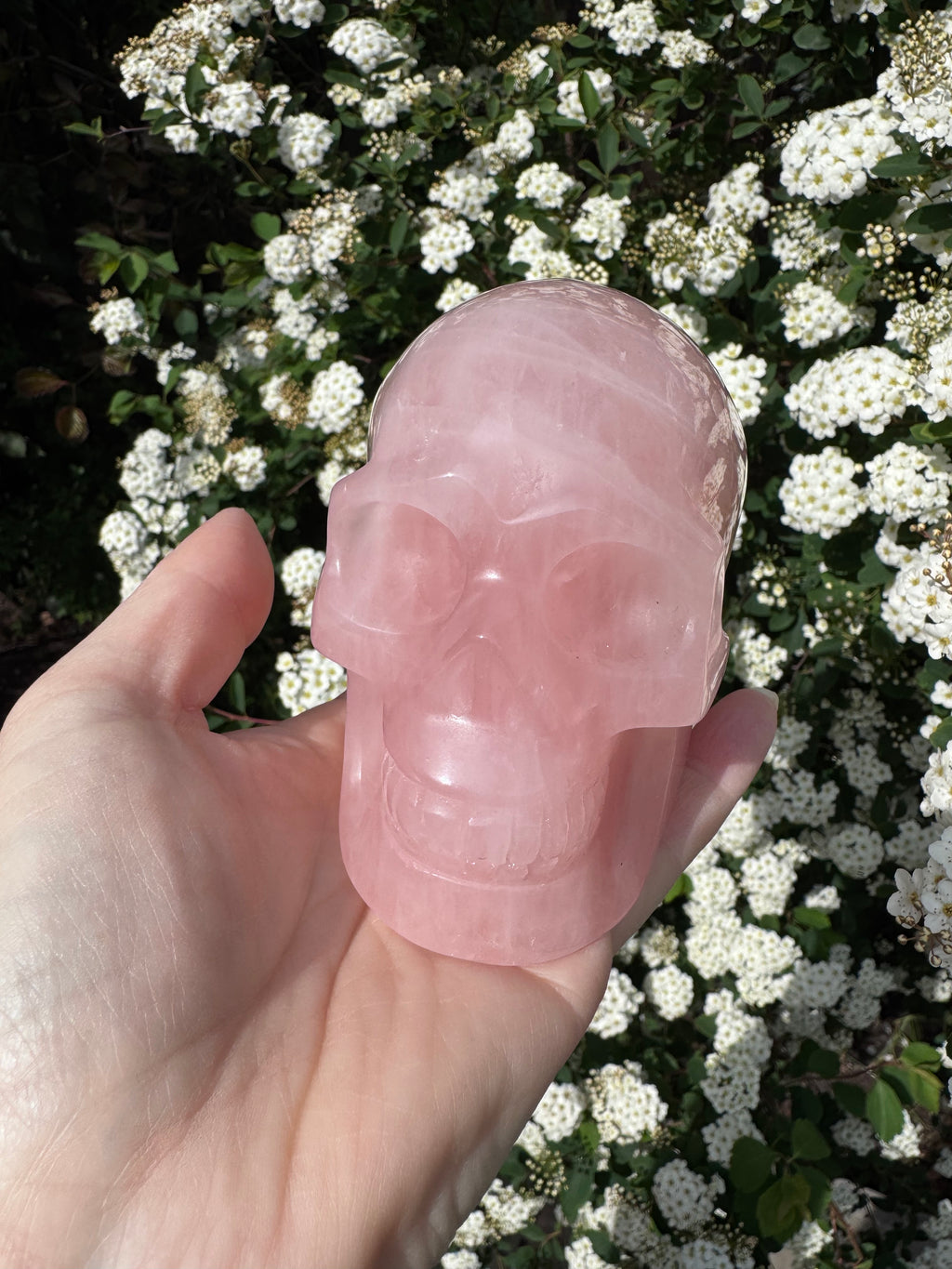 Large Rose Quartz crystal, hand carved skull 993gms.