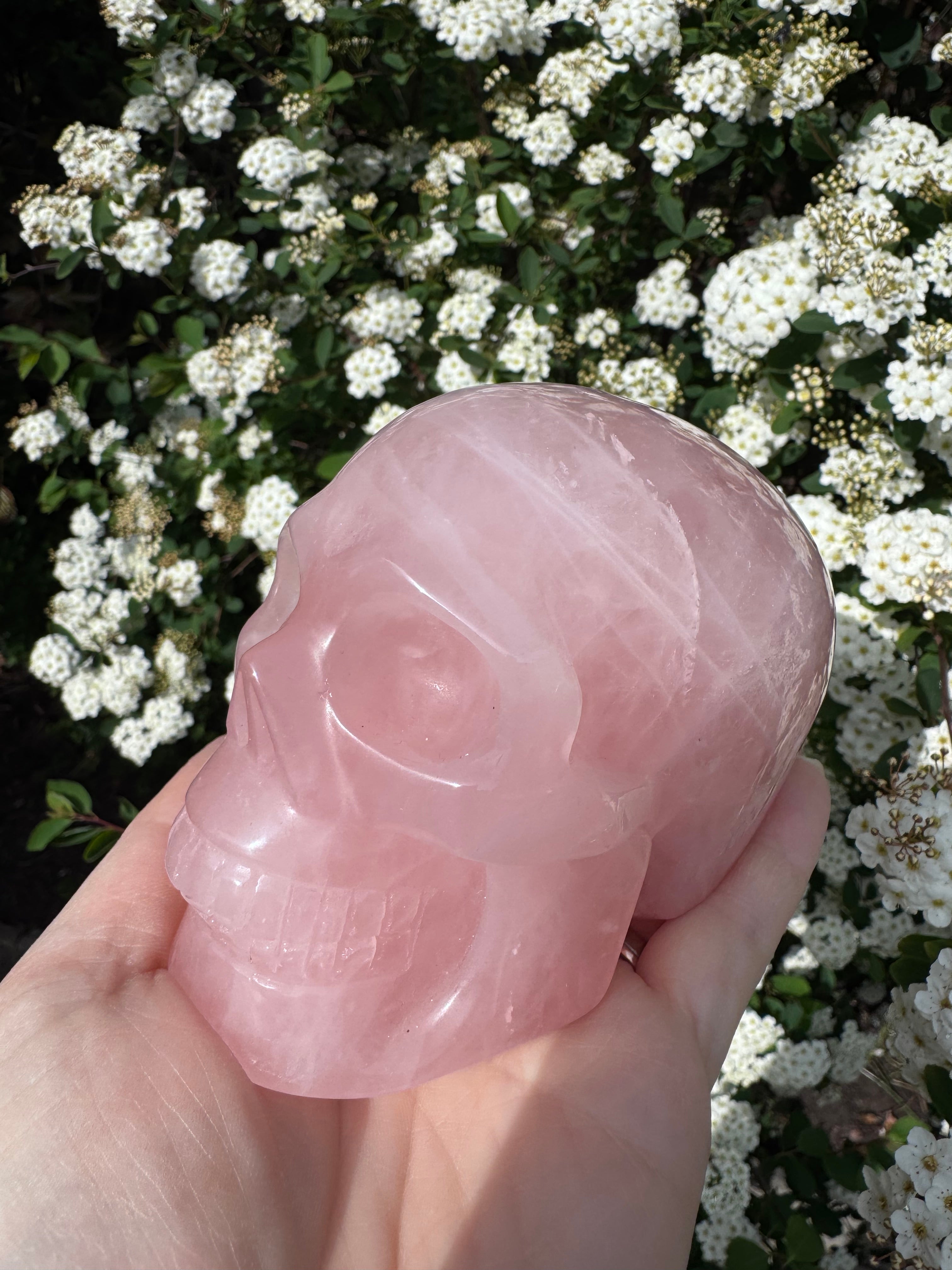 Large Rose Quartz crystal, hand carved skull 993gms.