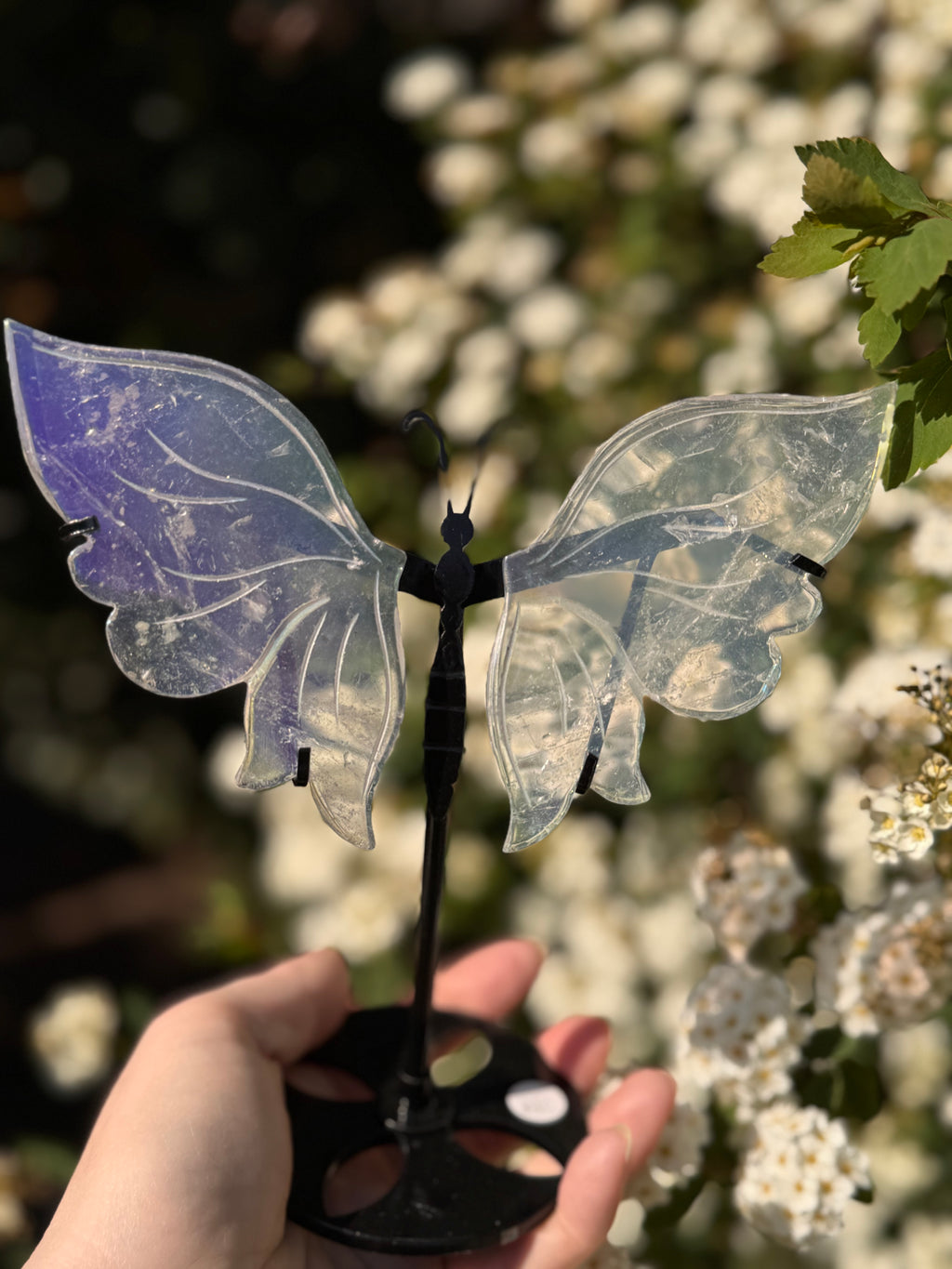 Aura Quartz Butterfly Wings - Druzy Crystal  - Radiant Crystals UK