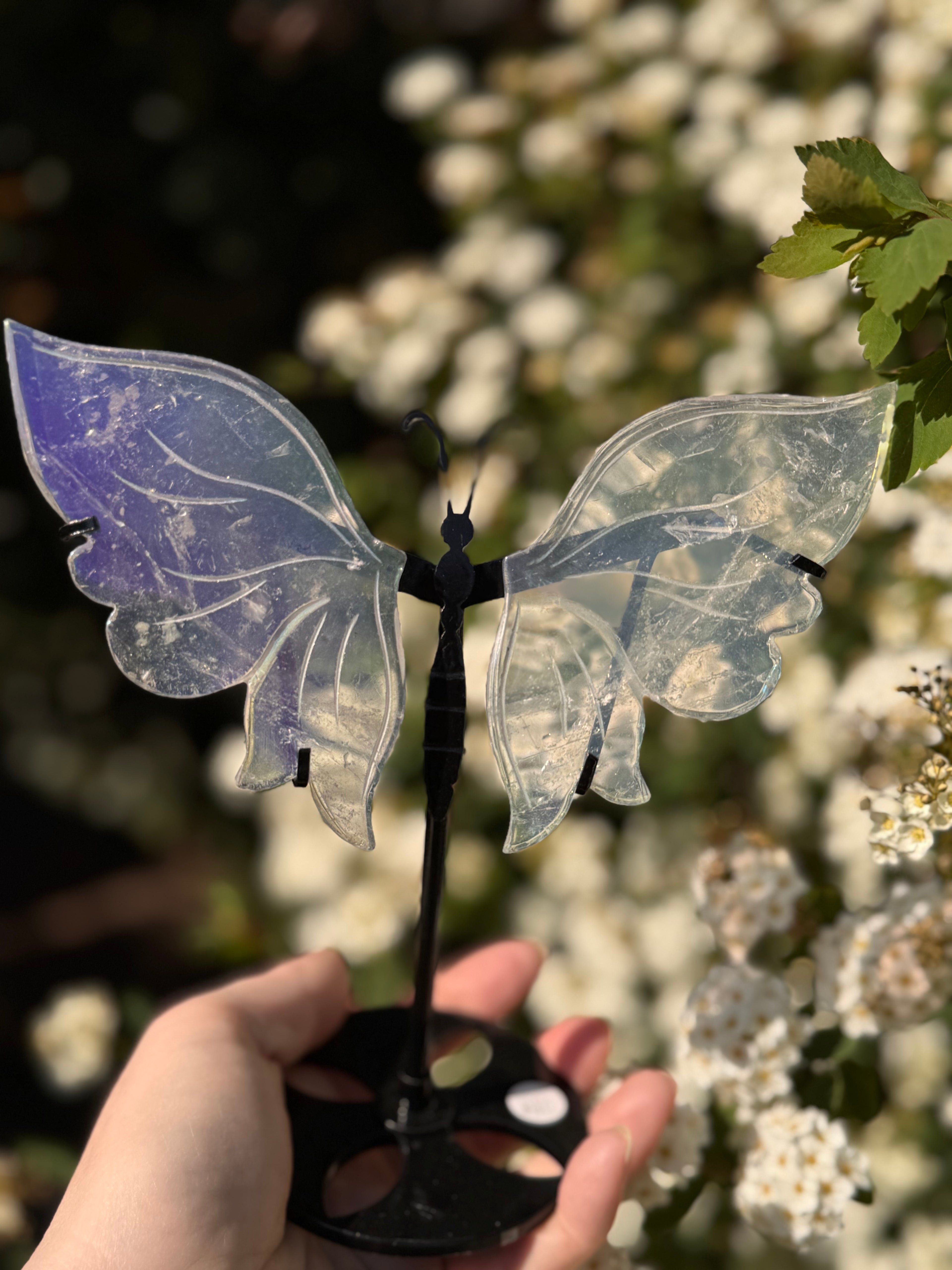 Aura Quartz Butterfly Wings - Druzy Crystal  - Radiant Crystals UK