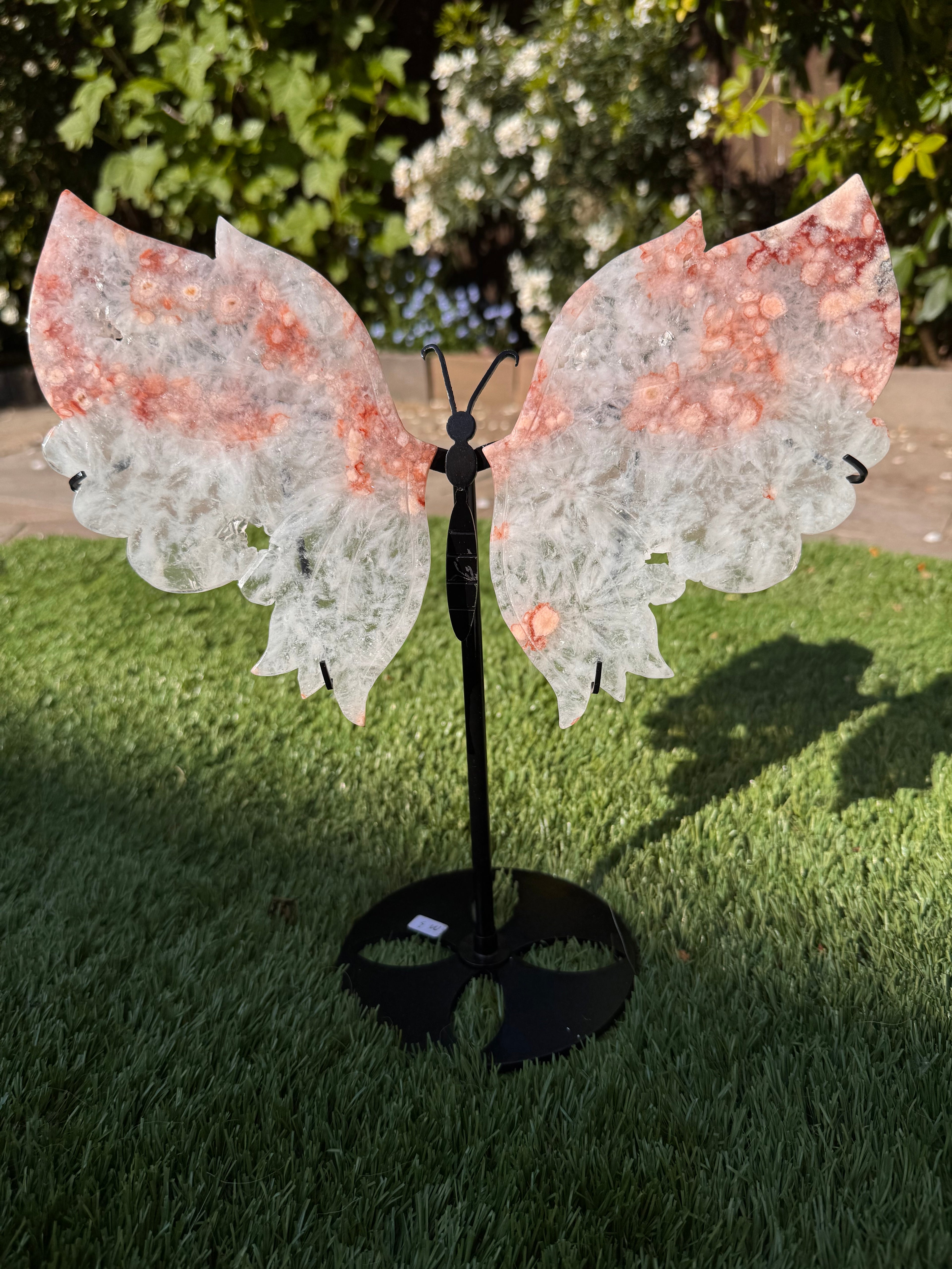 Pink Amethyst Butterfly Wings - Druzy Crystal  - Radiant Crystals UK