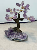 Crystal Tree on Amethyst Base | Rose Quartz Citrine or Amethyst | Radiant Crystals UK