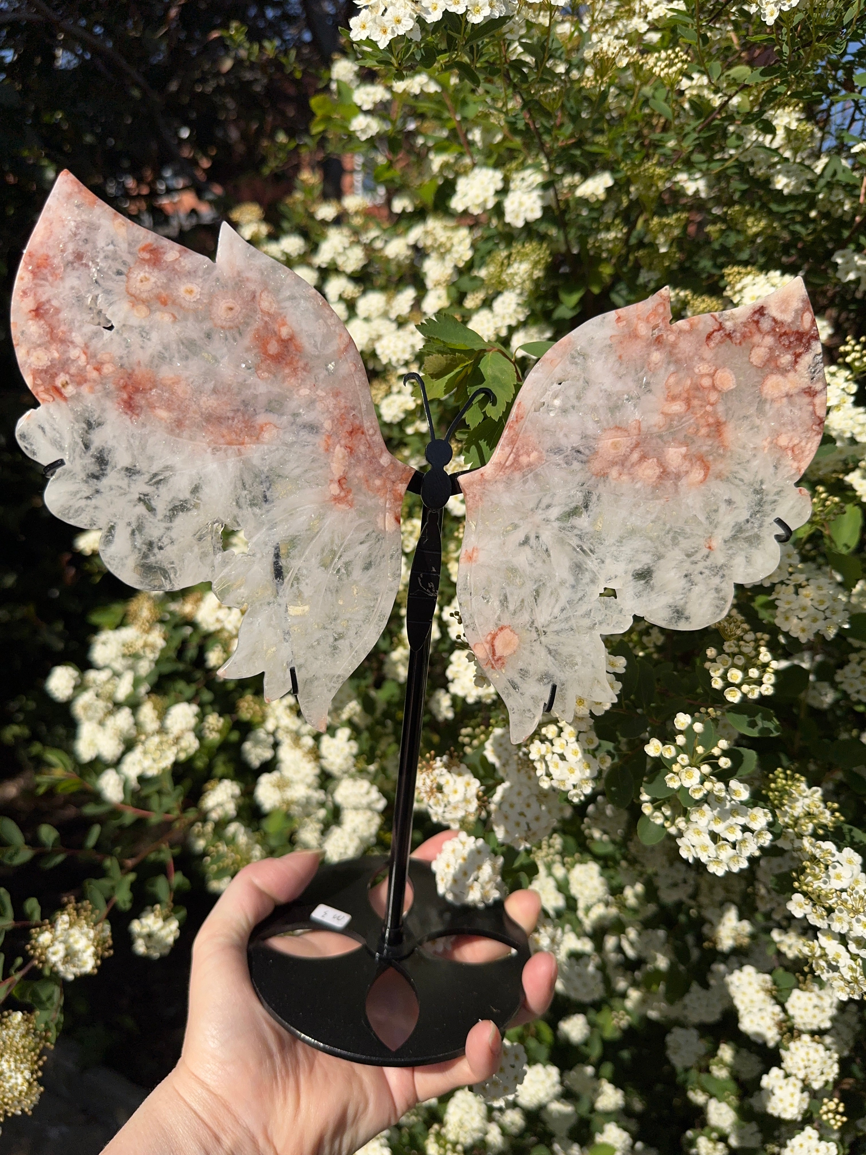 Pink Amethyst Butterfly Wings - Druzy Crystal  - Radiant Crystals UK