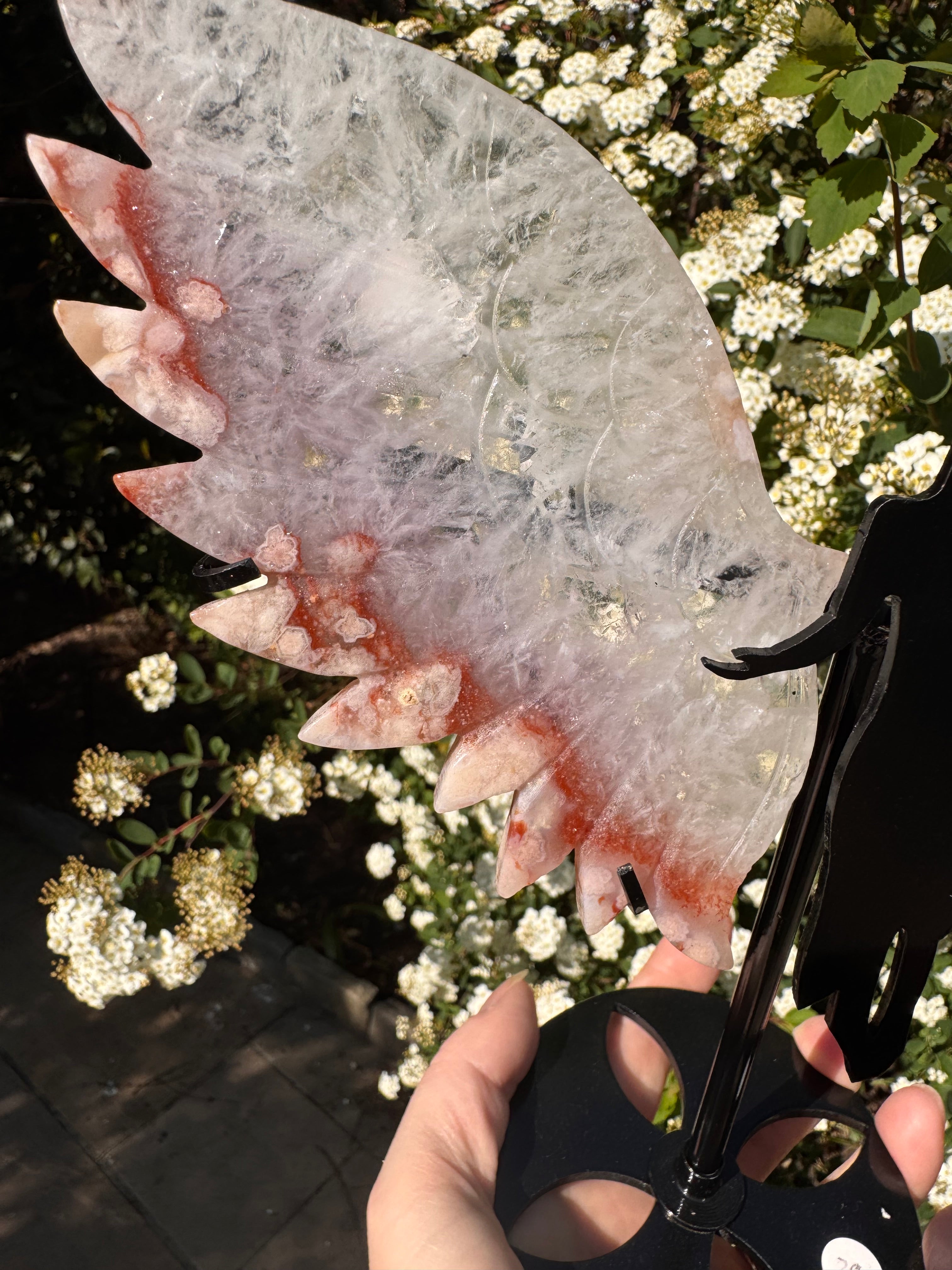 Pink Amethyst Angel Wings - Druzy Quartz Crystal  - Radiant Crystals UK