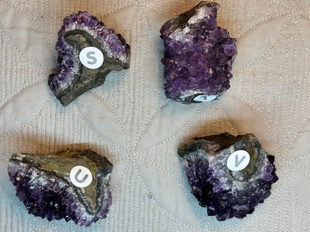 Four amethyst crystals labeled S, U, V on a textured beige surface