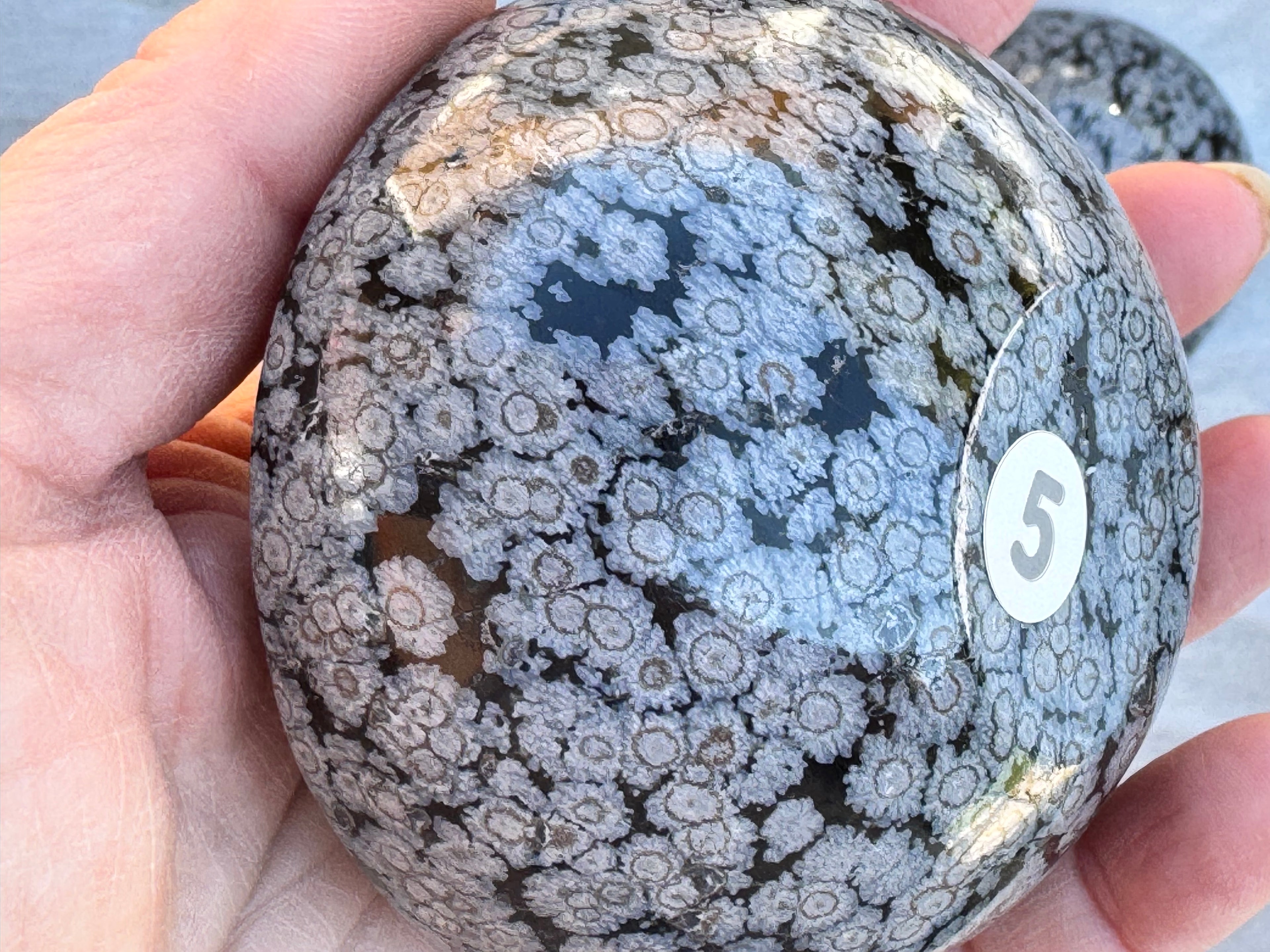 Snowflake obsidian 3inch bowl – Handcrafted Nature Décor | Natural crystal Sculpture
