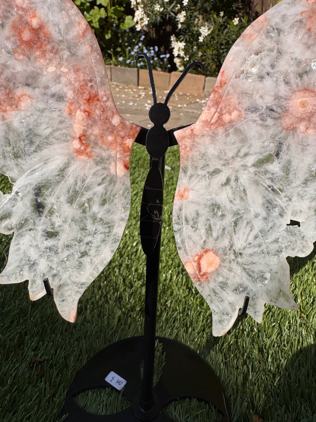 Pink Amethyst Butterfly Wings - Druzy Crystal  - Radiant Crystals UK