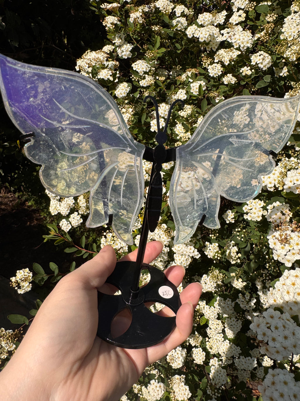 Aura Quartz Butterfly Wings - Druzy Crystal  - Radiant Crystals UK