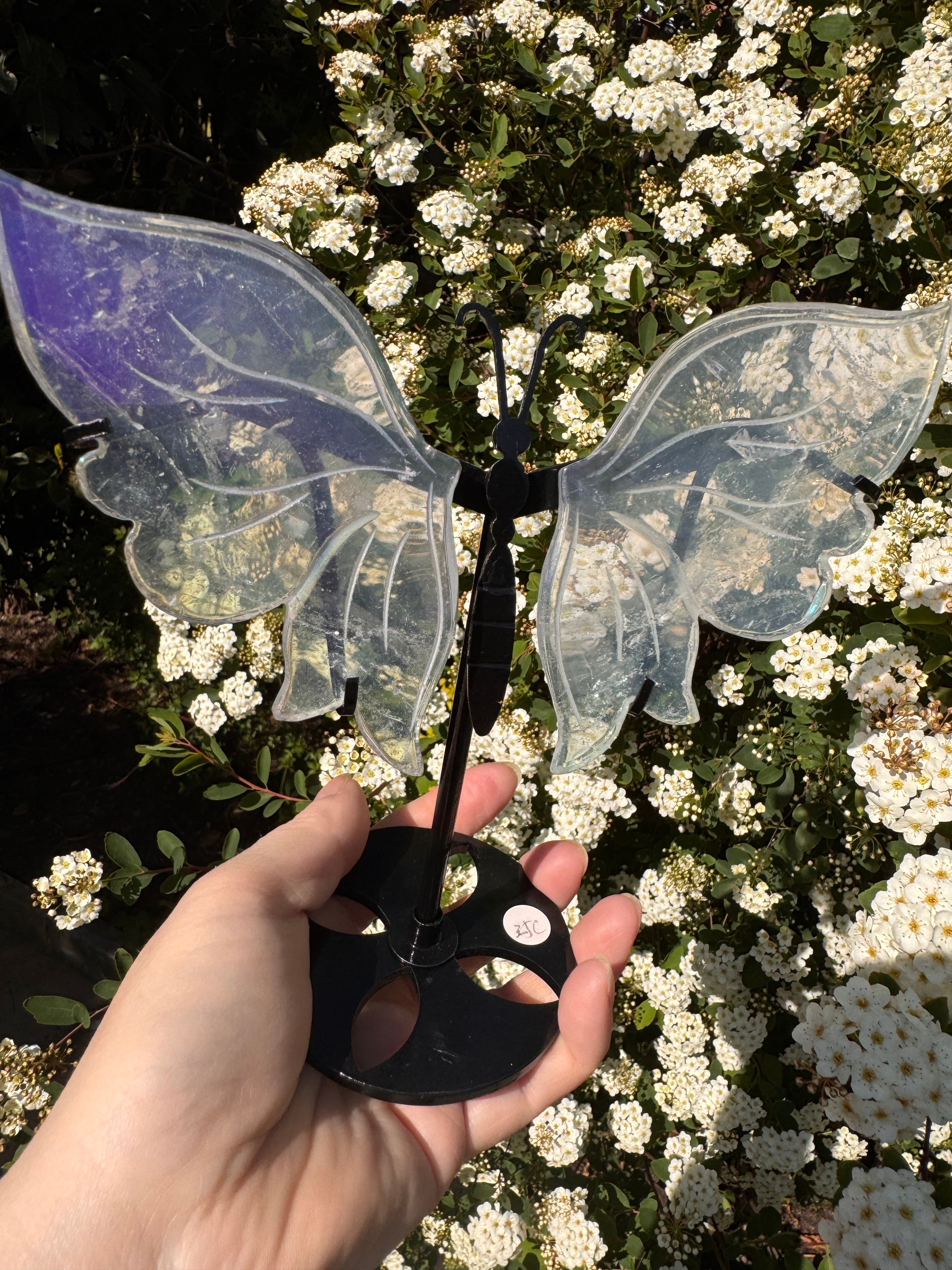Aura Quartz Butterfly Wings - Druzy Crystal  - Radiant Crystals UK