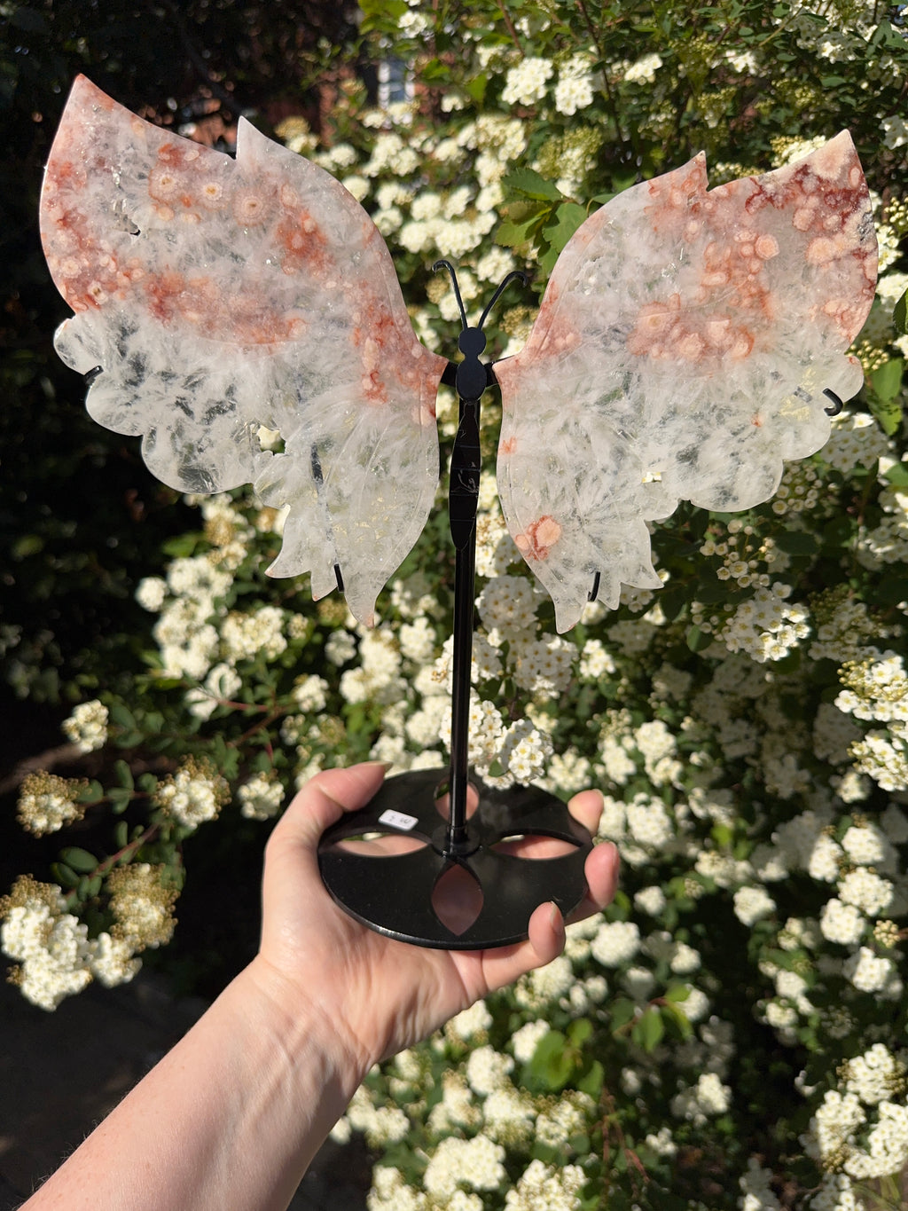Pink Amethyst Butterfly Wings - Druzy Crystal  - Radiant Crystals UK