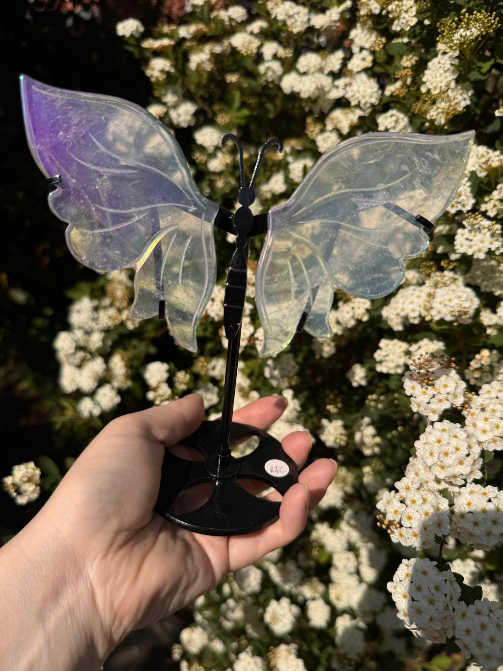 Aura Quartz Butterfly Wings - Druzy Crystal  - Radiant Crystals UK