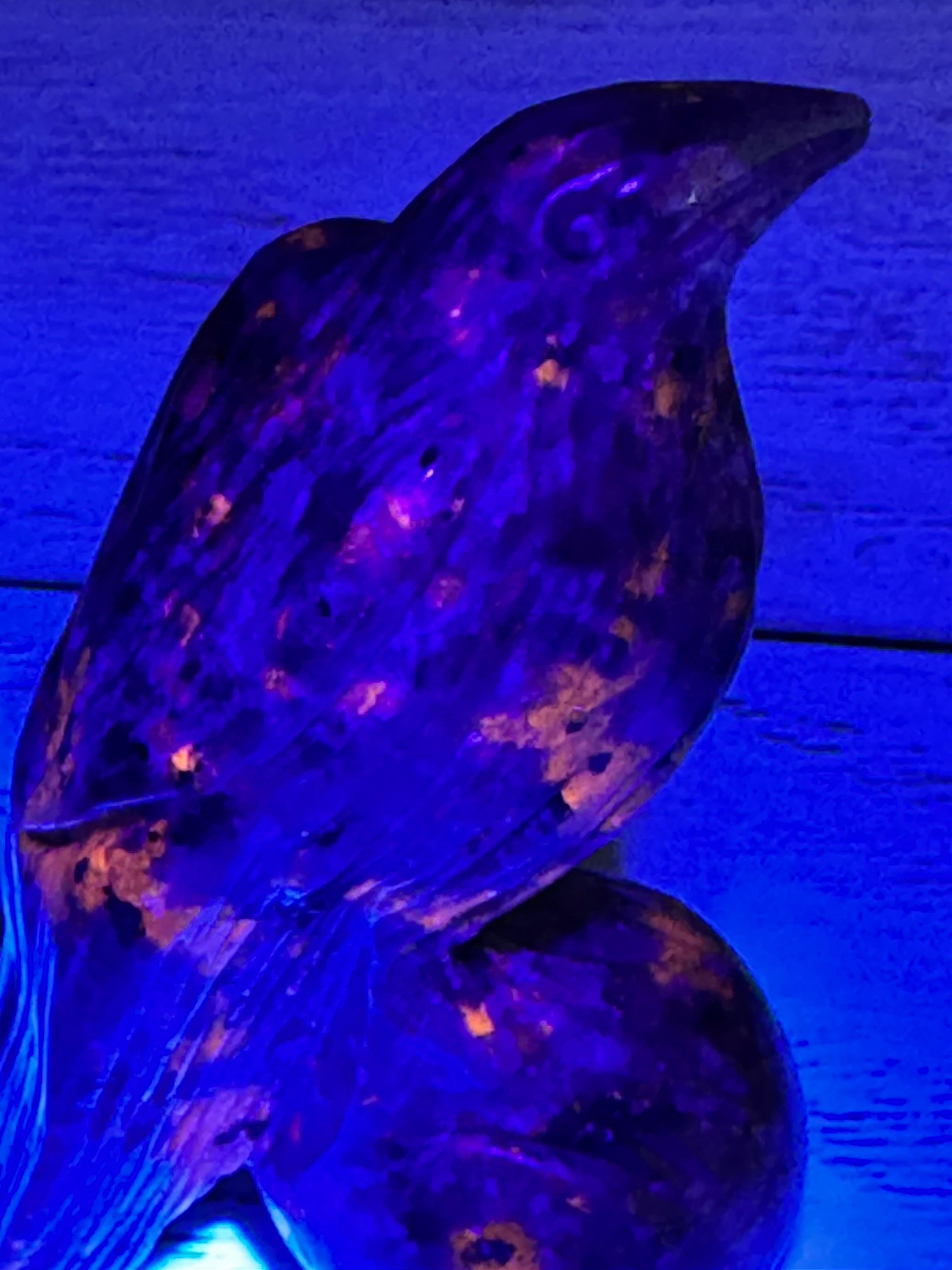 Yooperlite Raven Crystal Carving, UV reactive.