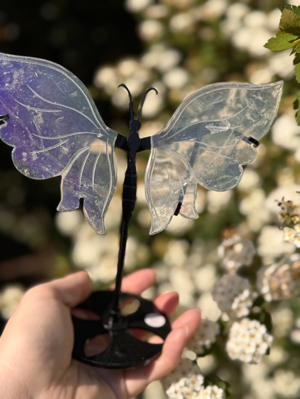 Aura Quartz Butterfly Wings - Druzy Crystal  - Radiant Crystals UK