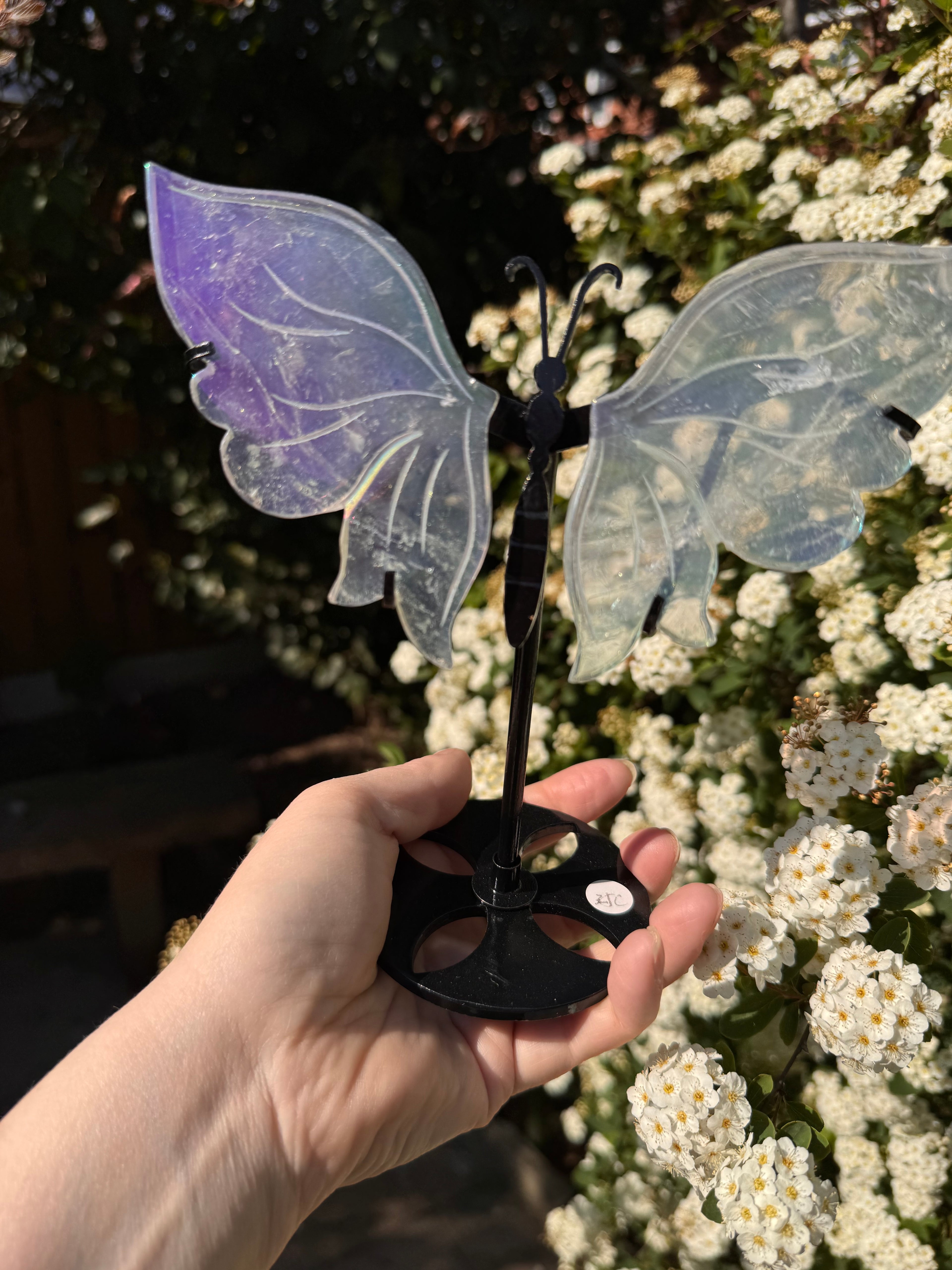 Aura Quartz Butterfly Wings - Druzy Crystal  - Radiant Crystals UK