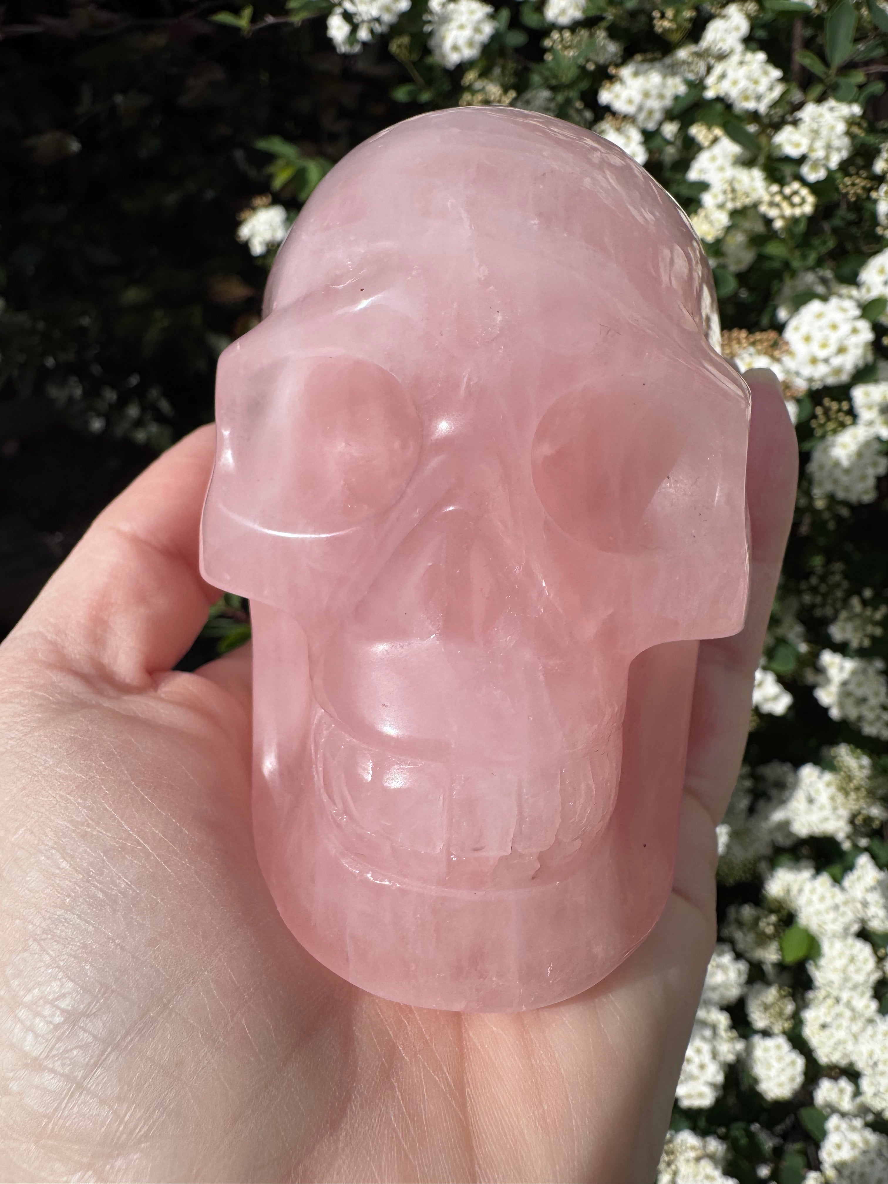 Large Rose Quartz crystal, hand carved skull 993gms.