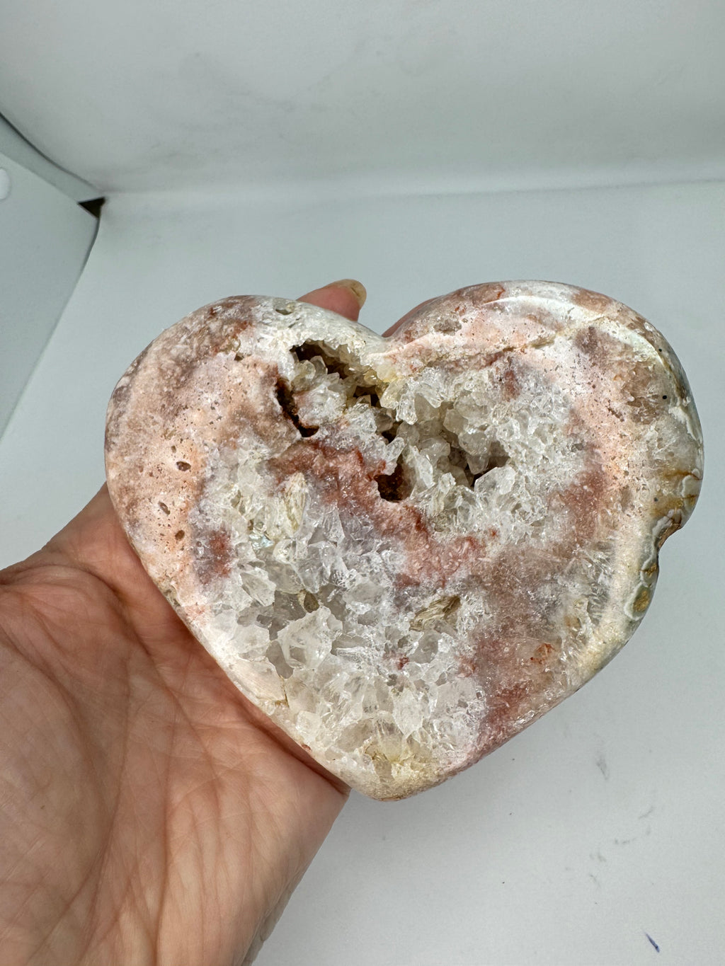 Hand holding a rough-textured rock with visible minerals against a plain background