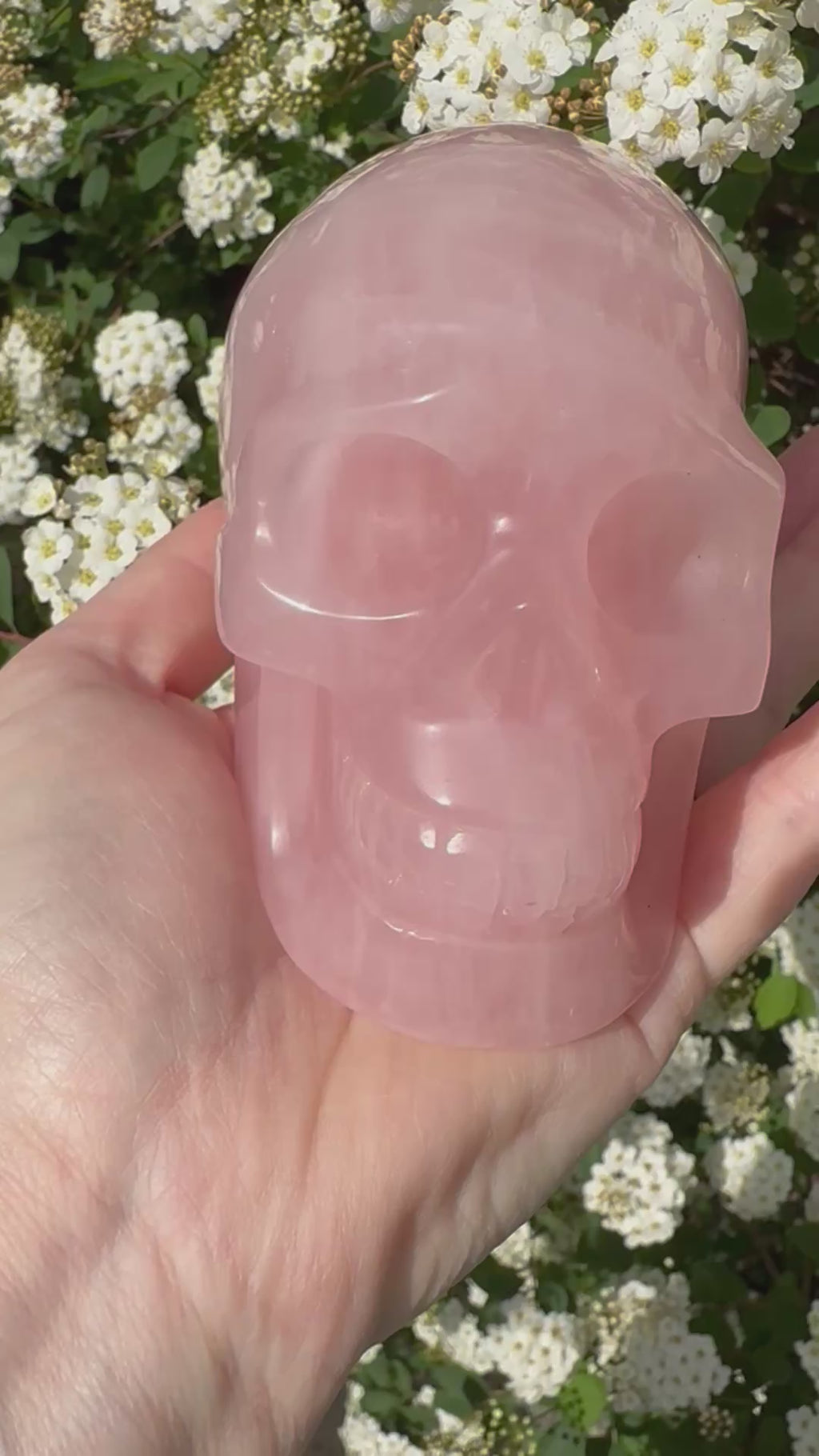 Large Rose Quartz crystal, hand carved skull 993gms.