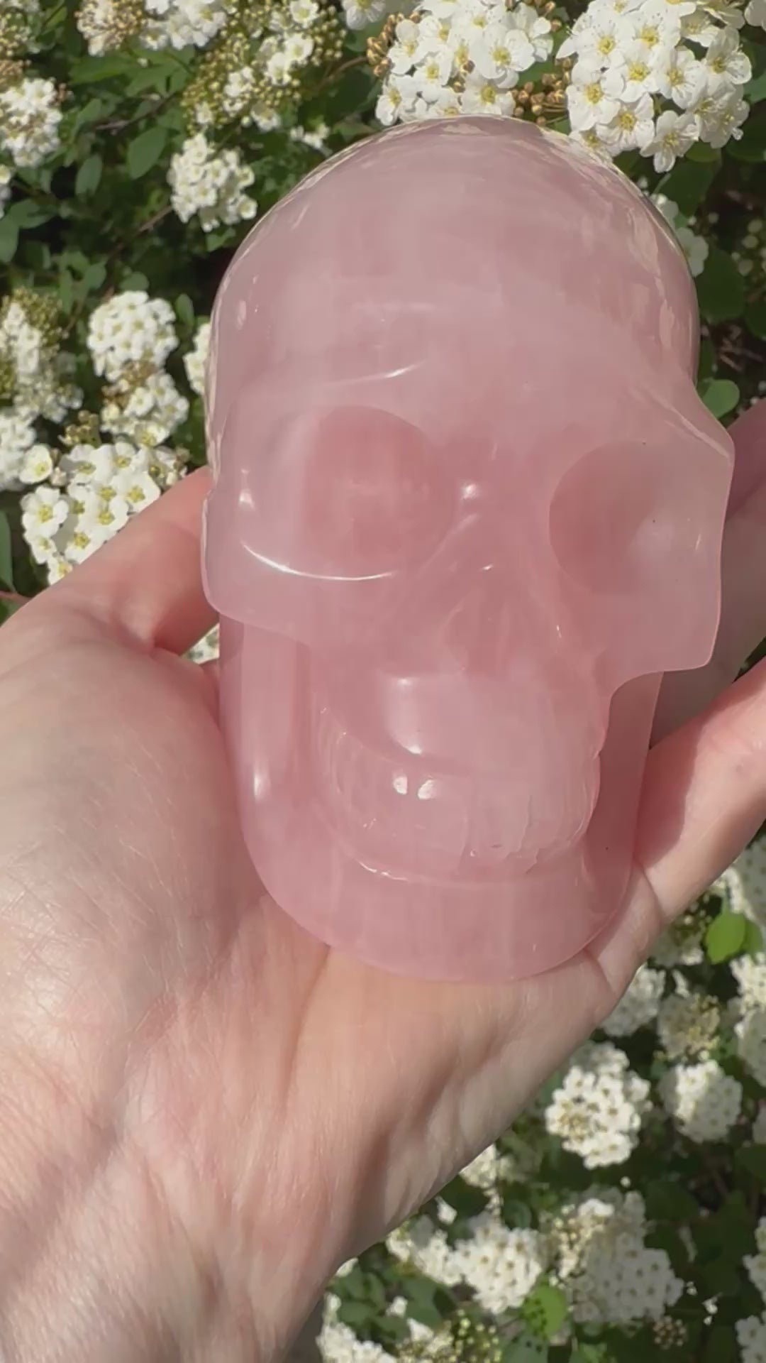 Large Rose Quartz crystal, hand carved skull 993gms.