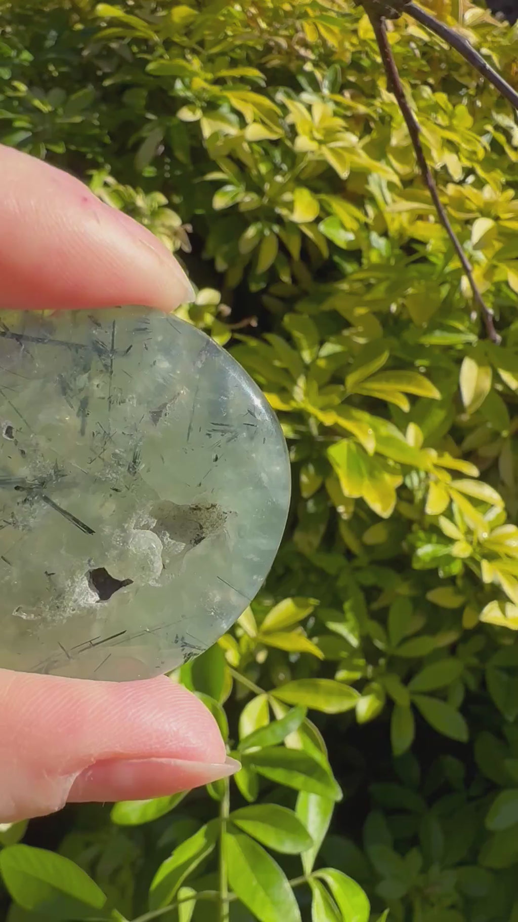 Prehnite cookie palm stone – Handcrafted Nature Décor